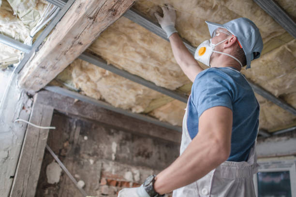 Types of Insulation We Offer in Severance, CO