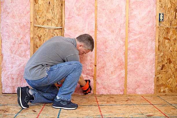 Professional Insulation Contractor in Severance, CO