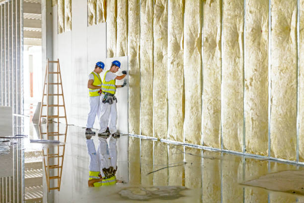 Best Insulation Maintenance and Repair in Severance, CO
